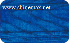 图片10.png